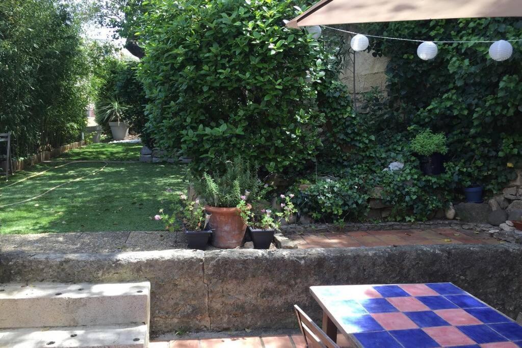 La Cassirene - Maisonnette Centre Cassis - Jardin Eksteriør bilde